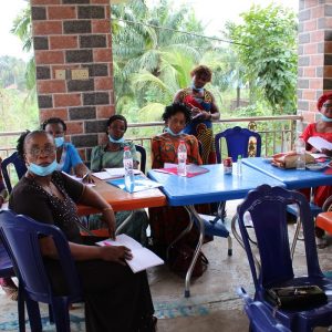Oguta and Akabor VAWG women capacity building (3)